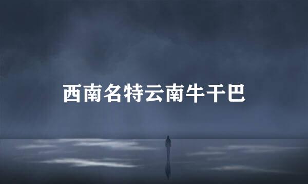 西南名特云南牛干巴