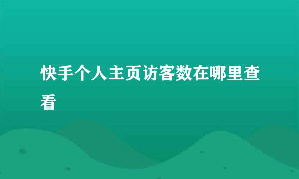 快手个人主页访客数在哪里查看