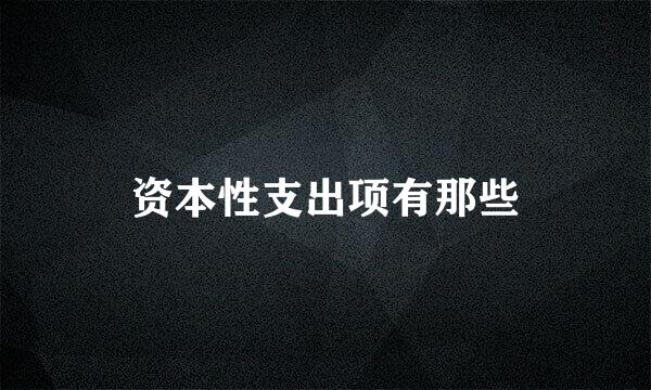 资本性支出项有那些