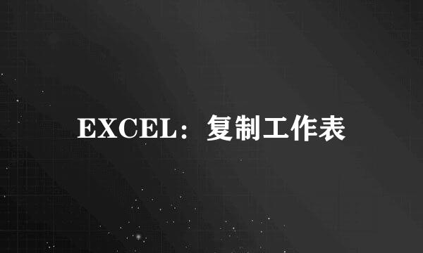 EXCEL:复制工作表