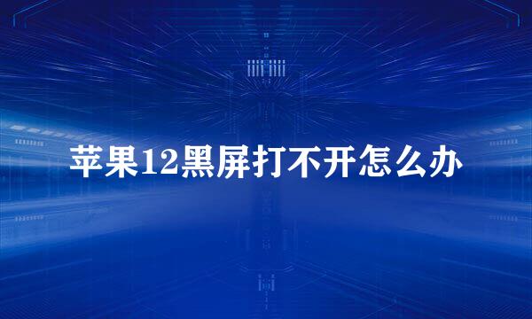 苹果12黑屏打不开怎么办