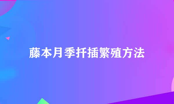 藤本月季扦插繁殖方法