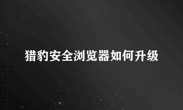 猎豹安全浏览器如何升级