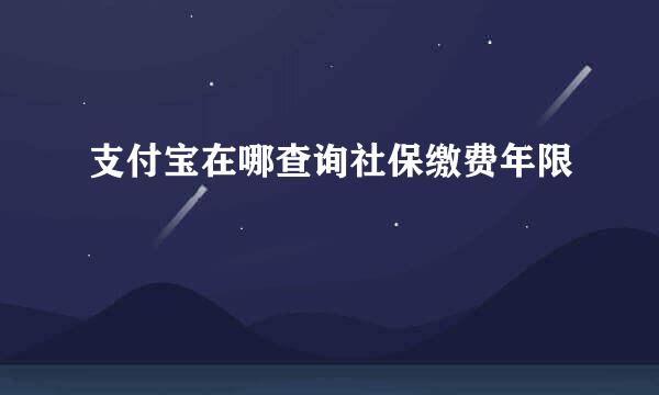 支付宝在哪查询社保缴费年限