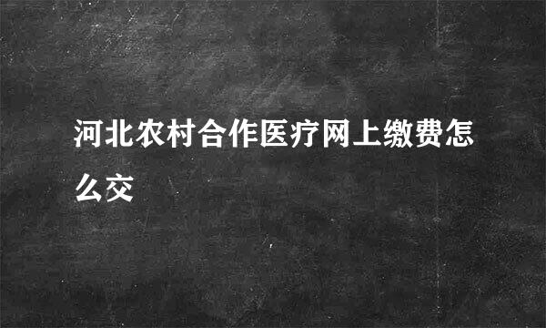 河北农村合作医疗网上缴费怎么交