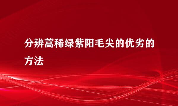 分辨蒿稀绿紫阳毛尖的优劣的方法
