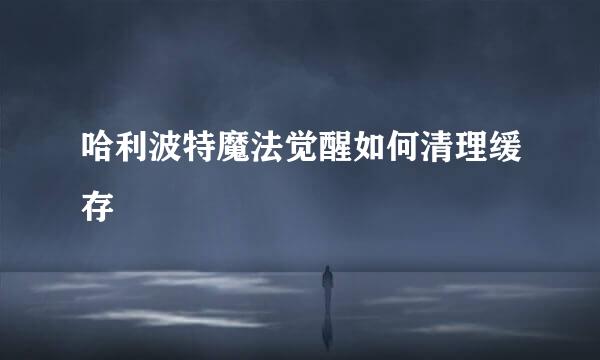哈利波特魔法觉醒如何清理缓存