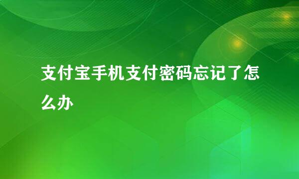 支付宝手机支付密码忘记了怎么办