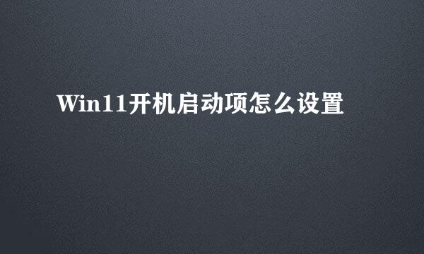 Win11开机启动项怎么设置
