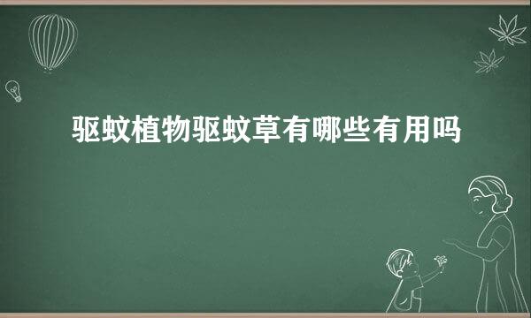 驱蚊植物驱蚊草有哪些有用吗