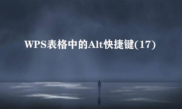 WPS表格中的Alt快捷键(17)