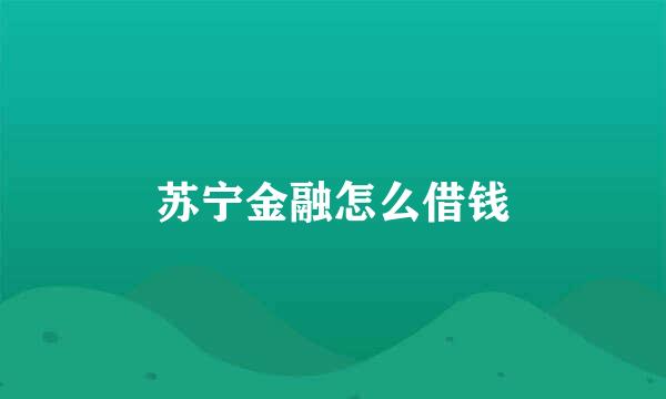 苏宁金融怎么借钱