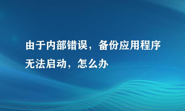 由于内部错误，备份应用程序无法启动，怎么办