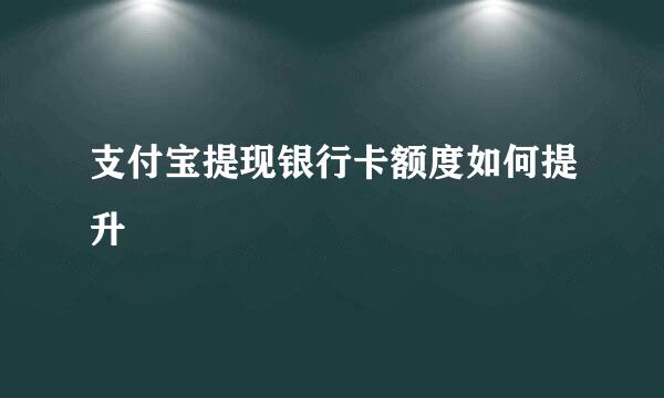 支付宝提现银行卡额度如何提升