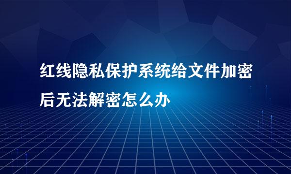 红线隐私保护系统给文件加密后无法解密怎么办