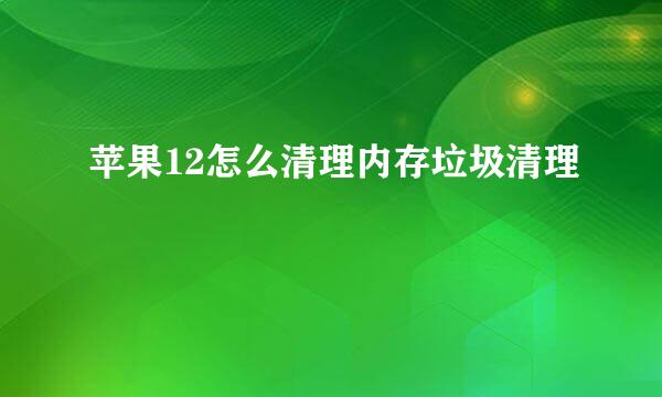 苹果12怎么清理内存垃圾清理