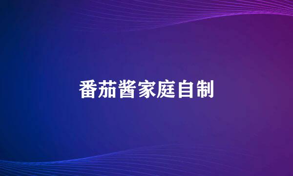 番茄酱家庭自制