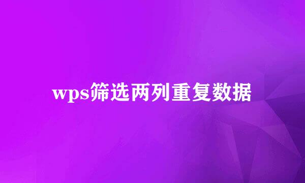 wps筛选两列重复数据