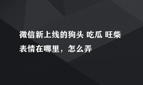 微信新上线的狗头 吃瓜 旺柴表情在哪里，怎么弄