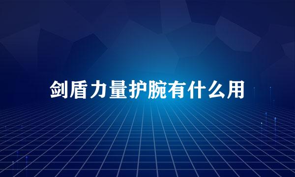 剑盾力量护腕有什么用