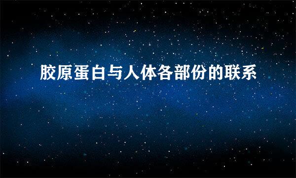 胶原蛋白与人体各部份的联系
