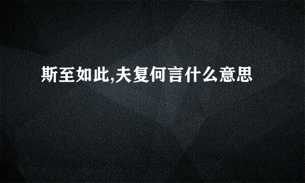 斯至如此,夫复何言什么意思