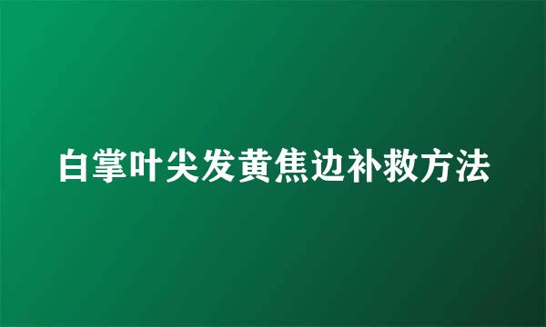 白掌叶尖发黄焦边补救方法