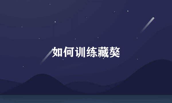 如何训练藏獒