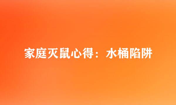 家庭灭鼠心得：水桶陷阱