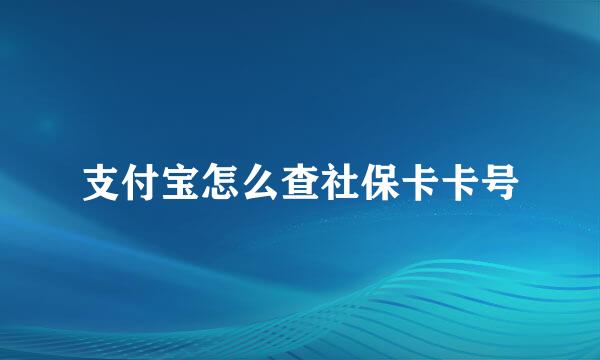 支付宝怎么查社保卡卡号