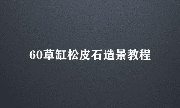60草缸松皮石造景教程