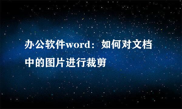 办公软件word：如何对文档中的图片进行裁剪