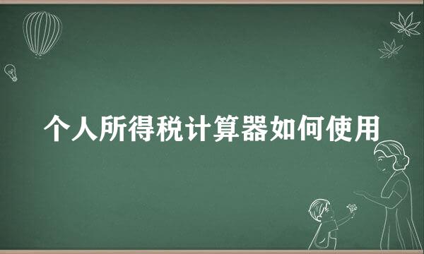 个人所得税计算器如何使用