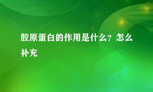 胶原蛋白的作用是什么？怎么补充