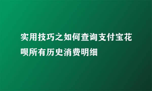 实用技巧之如何查询支付宝花呗所有历史消费明细