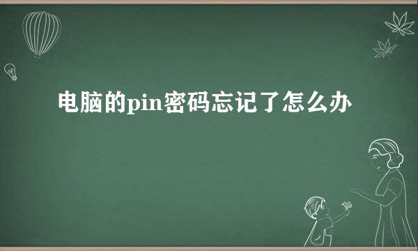 电脑的pin密码忘记了怎么办