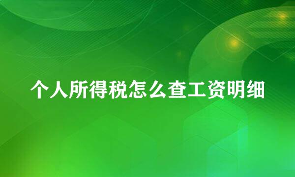 个人所得税怎么查工资明细