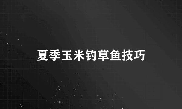 夏季玉米钓草鱼技巧