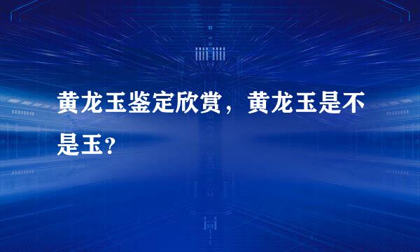 黄龙玉鉴定欣赏，黄龙玉是不是玉？