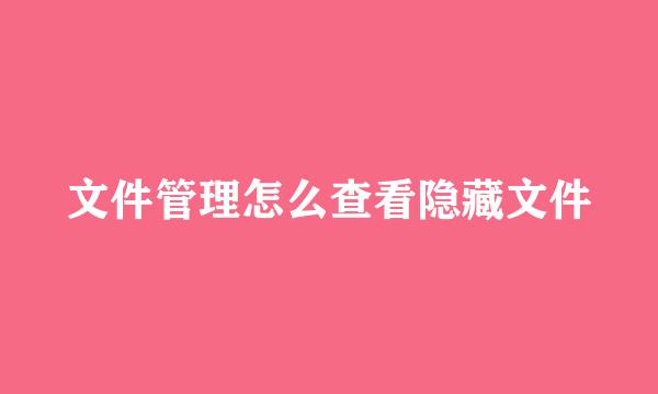 文件管理怎么查看隐藏文件
