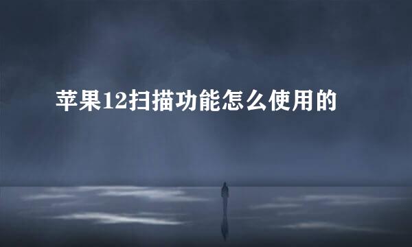 苹果12扫描功能怎么使用的