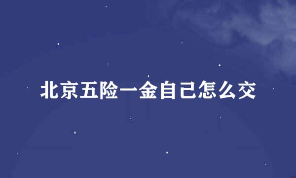北京五险一金自己怎么交