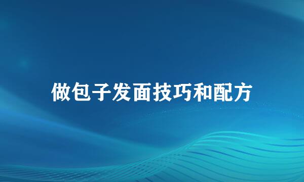 做包子发面技巧和配方