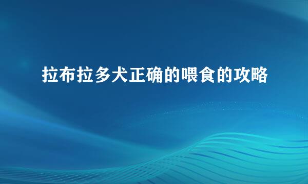 拉布拉多犬正确的喂食的攻略