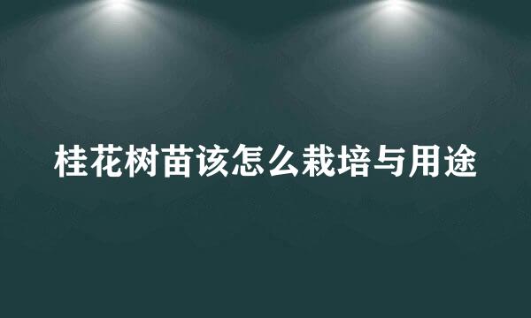 桂花树苗该怎么栽培与用途