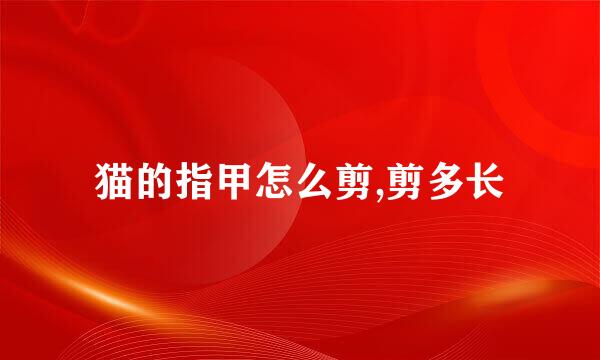 猫的指甲怎么剪,剪多长