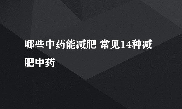 哪些中药能减肥 常见14种减肥中药