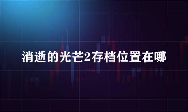 消逝的光芒2存档位置在哪