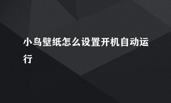 小鸟壁纸怎么设置开机自动运行