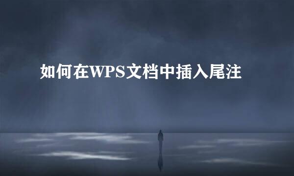 如何在WPS文档中插入尾注
